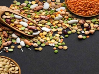 Légumineuses : bienfaits, nutrition et guide des légumes secs
