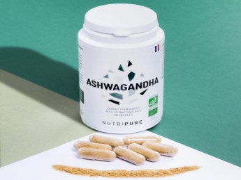 Ashwagandha et musculation : Bienfaits, dosage et utilisation