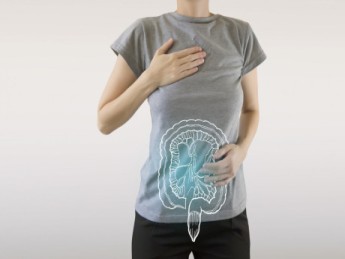 Probiotiques, quelles souches choisir ?