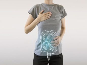 Probiotiques, quelles souches choisir ?