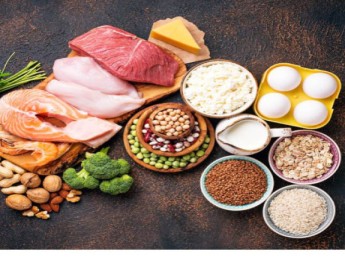 Aliments riches en protéines : les meilleures sources à intégrer à vos repas