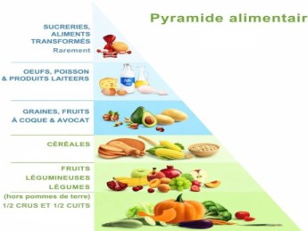 Pyramide alimentaire : comprendre les bases d’une alimentation saine