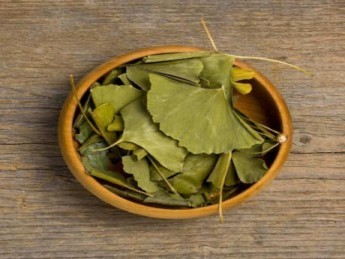 Ginkgo biloba : 4 bienfaits essentiels pour la santé