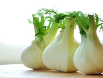 Les 5 bienfaits du fenouil pour votre santé
