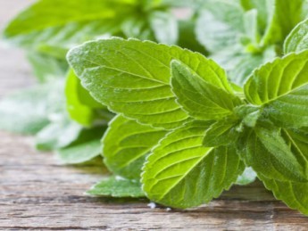 Menthe poivrée : 6 bienfaits prouvés pour votre santé