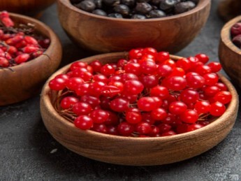 La cranberry : tous ses bienfaits validés par la science