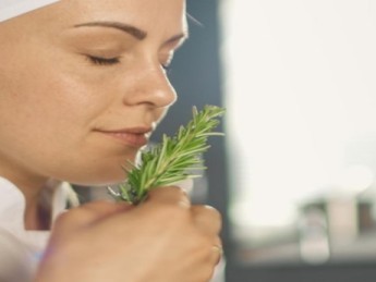 Estragon : ses bienfaits pour la digestion, le stress et les douleurs