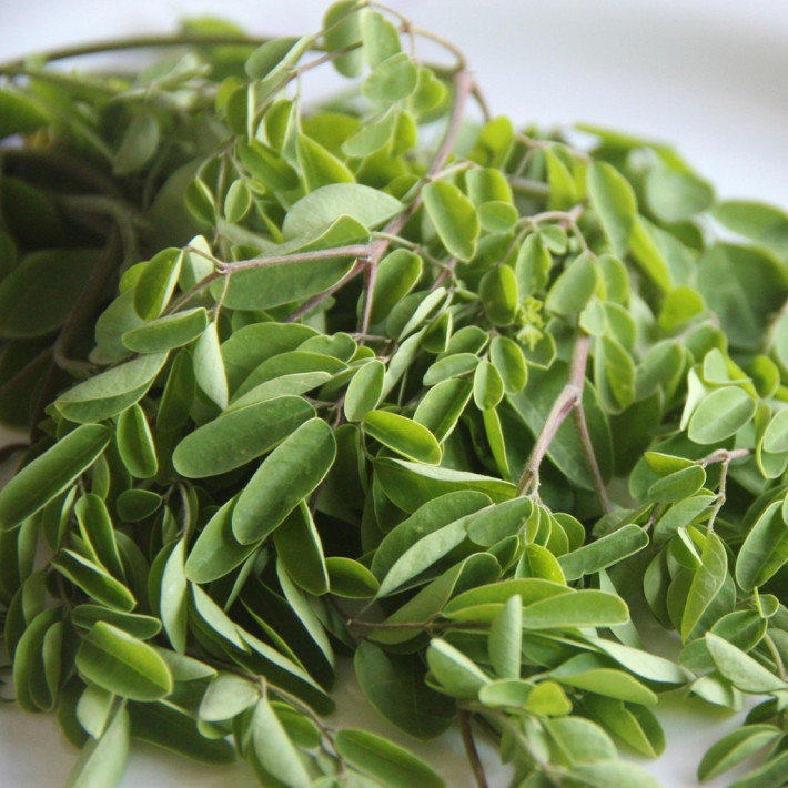 Moringa : danger, effets secondaires et précaution d'emploi