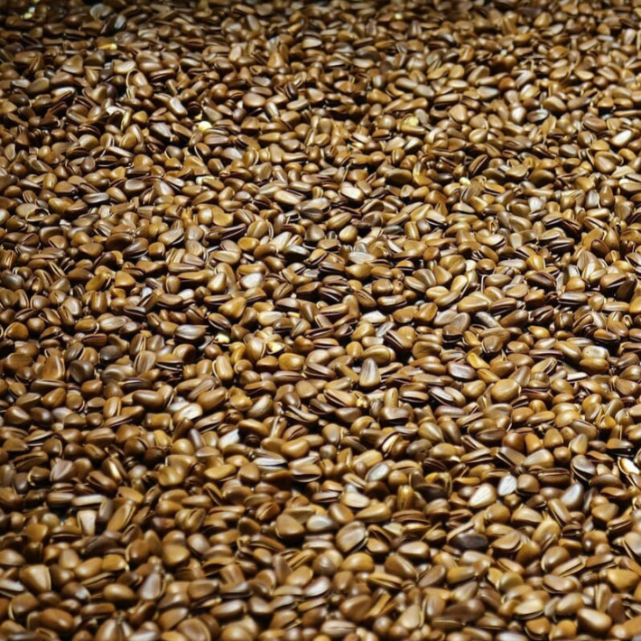 Graines de lin : dangers et interactions à connaître 