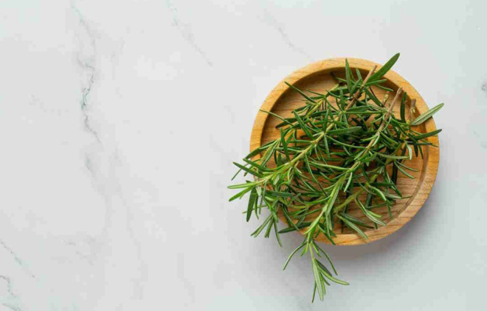 Les bienfaits du thym pour la santé