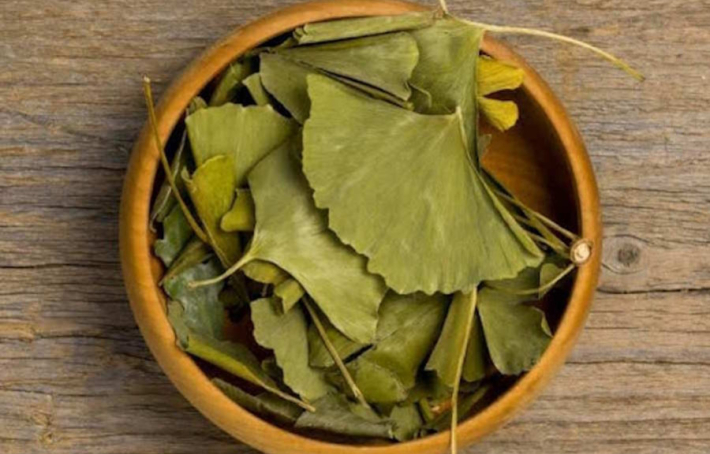Ginkgo biloba : 4 bienfaits essentiels pour la santé