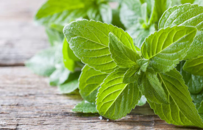Menthe poivrée : 6 bienfaits prouvés pour votre santé