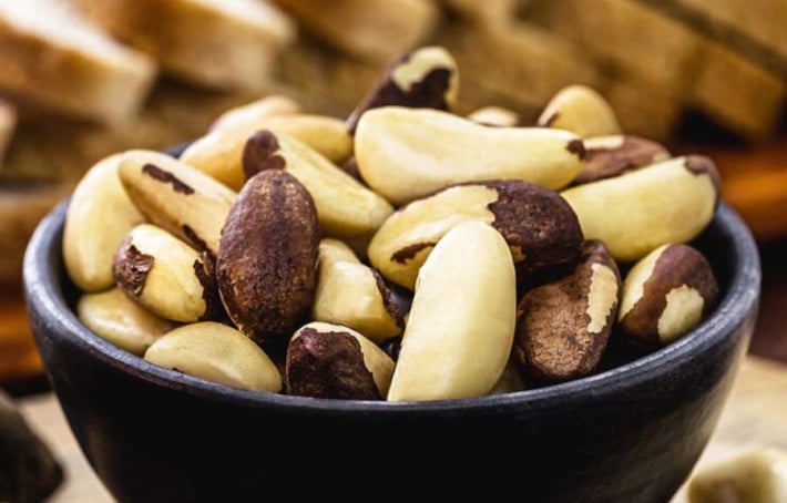 Noix du Brésil : quels bienfaits pour votre santé ?