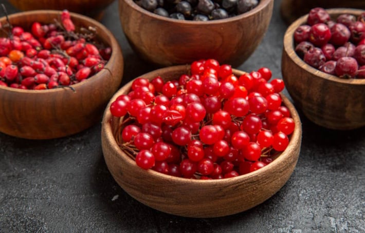 La cranberry : tous ses bienfaits validés par la science