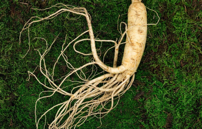 5 raisons de consommer du ginseng si vous êtes un homme 