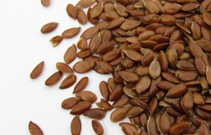 Les graines de lin : un aliments aux nombreux bienfaits