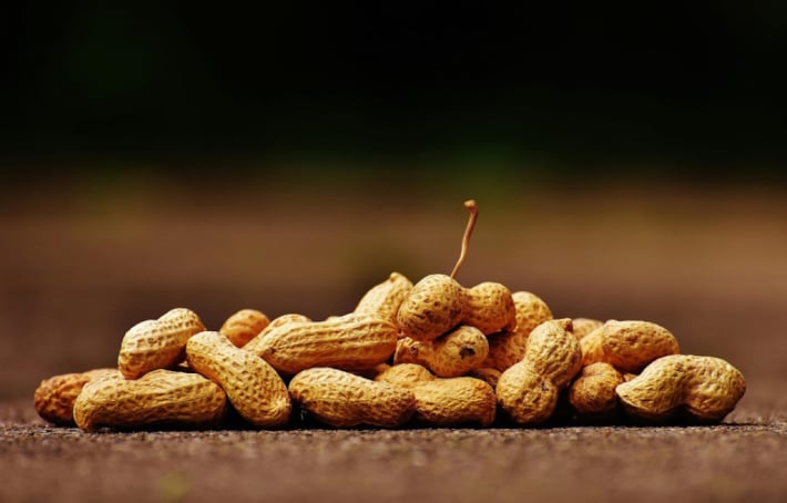 Les 4 bienfaits de la cacahuète