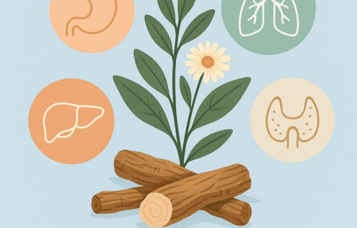 Costus indien : ses bienfaits au cœur des traditions