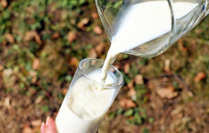Lait d’avoine bienfaits : la boisson végétale qui a tout bon pour votre santé