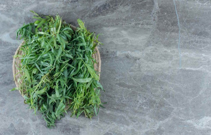 Sarriette bienfaits : une plante méditerranéenne aux multiples vertus
