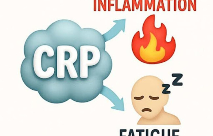 Pourquoi une CRP élevée cause-t-elle de la fatigue ?