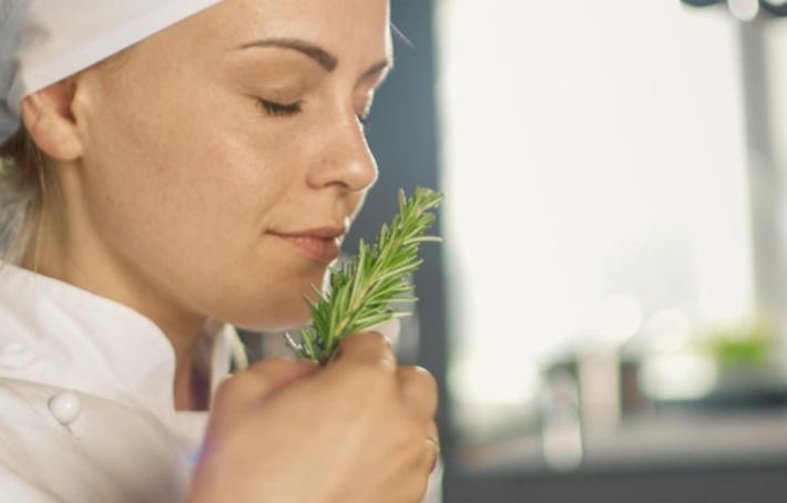 Estragon : ses bienfaits pour la digestion, le stress et les douleurs
