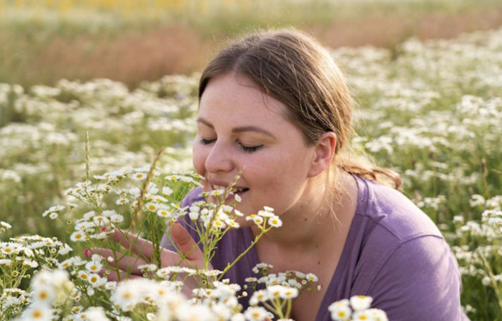 Valériane : le guide complet sur ses bienfaits pour le sommeil et le stress