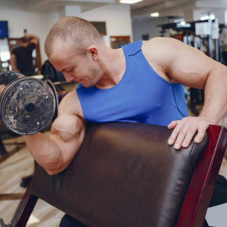 Hypertrophie musculaire : comment les muscles grossissent vraiment