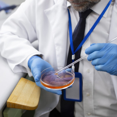 FIV (Fécondation In Vitro) : tout savoir sur le parcours et sa réussite