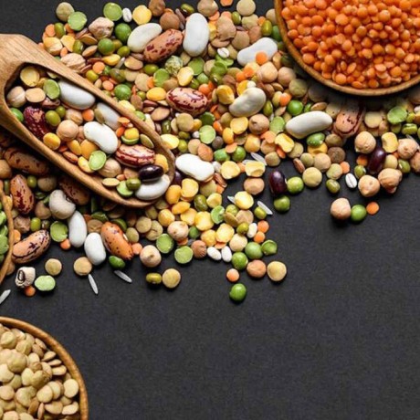 Légumineuses : bienfaits, nutrition et guide des légumes secs