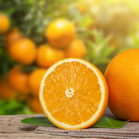 Orange : bienfaits et profil nutritionnel de cet agrume vitalité