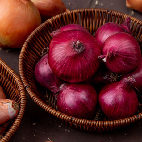 Oignon : bienfaits, valeurs nutritionnelles et conseils d’utilisation