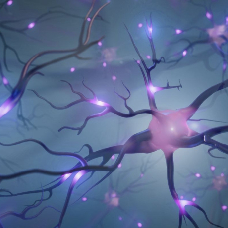 Neurotransmetteur : définition, rôles et comment préserver leur équilibre