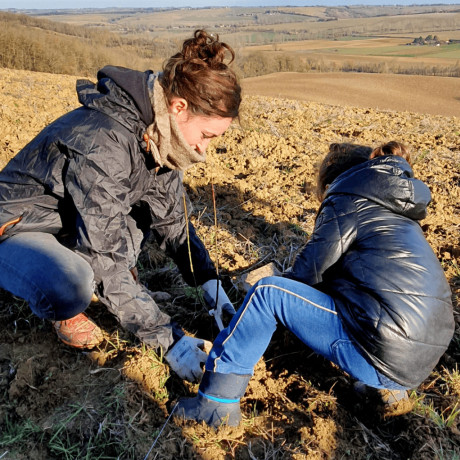 Plantation d’arbres pour compenser nos émissions de CO2