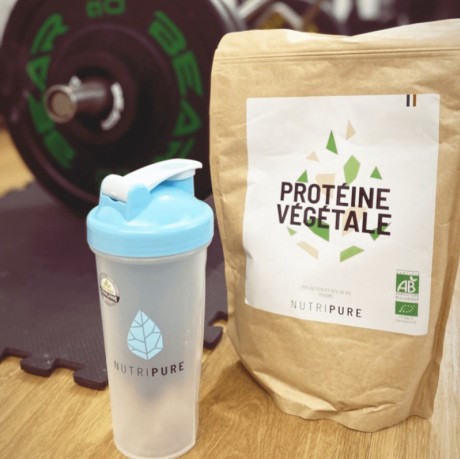 Protéines végétales musculation : efficaces pour prendre du muscle ?