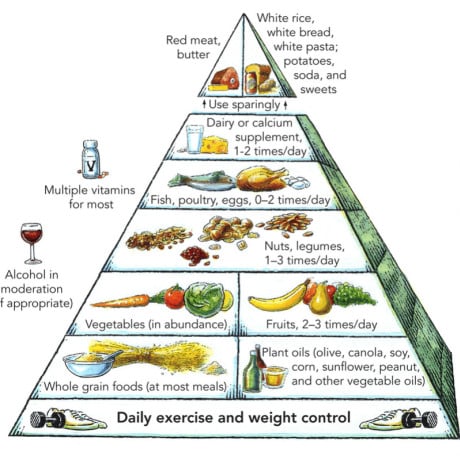 Pyramide alimentaire : comprendre les bases d’une alimentation saine