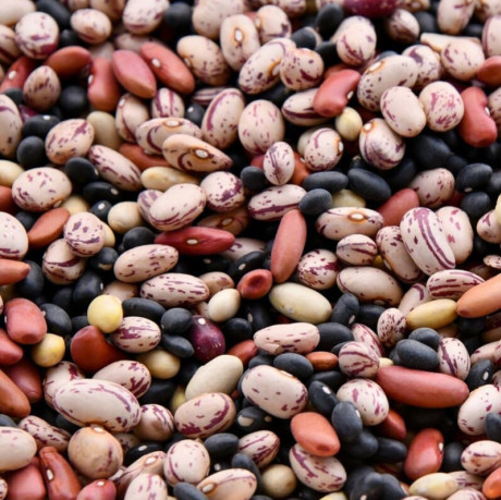 Quels sont les meilleurs aliments contenant du tryptophane ?