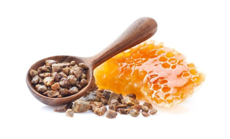 Propolis : bienfaits, utilisations et conseils pour profiter de ses vertus Propolis : bienfaits, utilisations et conseils pour profiter de ses vertus