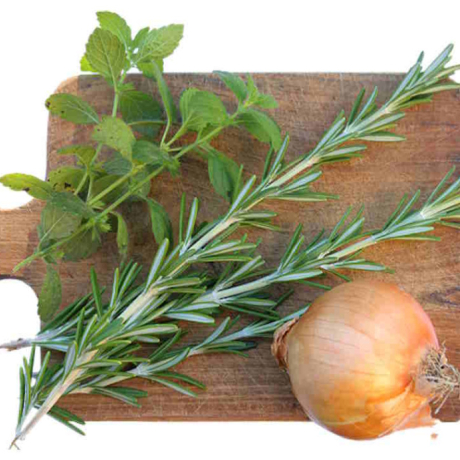 Romarin : 8 bienfaits à connaître pour une santé optimale