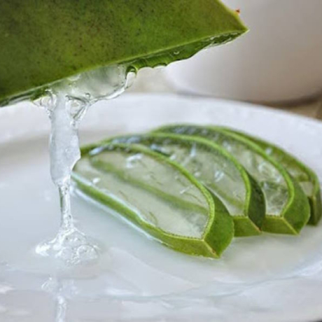 Les 5 bienfaits de l’aloe vera pour votre bien-être