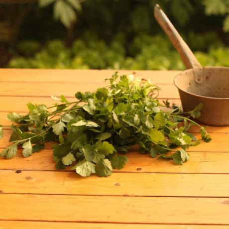 Les 3 bienfaits du coriandre sur la santé