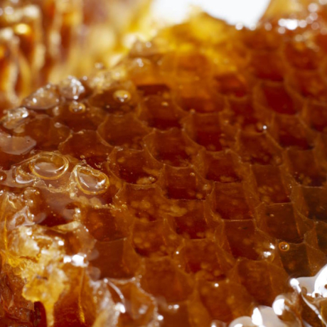 Les 3 bienfaits de la gelée royale : énergie, immunité, beauté et bien plus enco