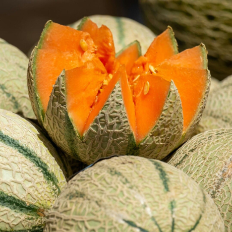 Melon : bienfaits, nutriments, hydratation et santé d’été