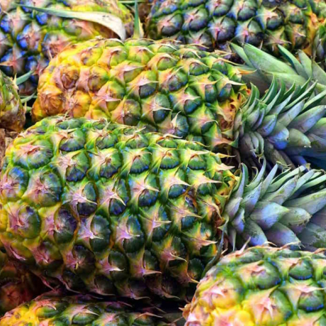 Bienfaits de la bromélaïne : anti-inflammatoire naturel et alliée digestive Bienfaits de la bromélaïne : anti-inflammatoire naturel et alliée digestive