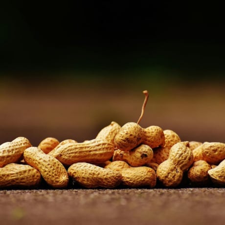 Les 4 bienfaits de la cacahuète
