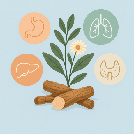 Costus indien : ses bienfaits au cœur des traditions