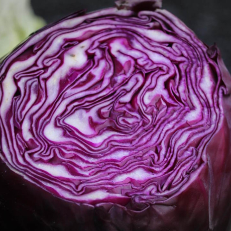 Les 4 bienfaits chou rouge : un super aliment aux vertus méconnues