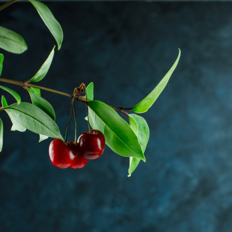 Queue de cerise : ses bienfaits pour éliminer les toxines  