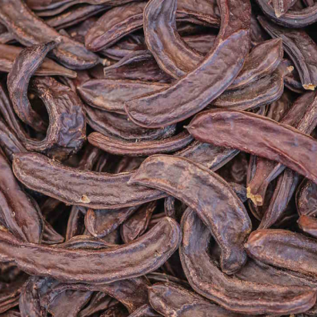 Les 4 bienfaits de la caroube