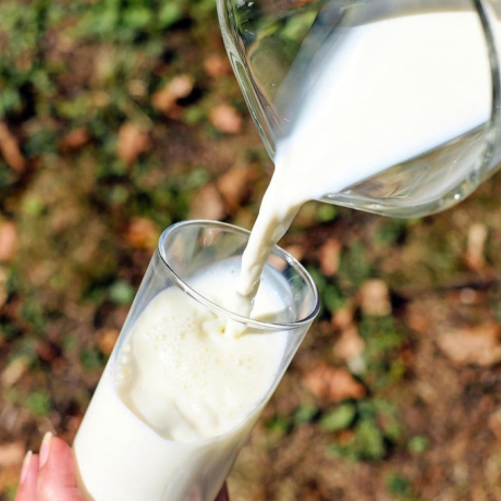 Lait d’avoine bienfaits : la boisson végétale qui a tout bon pour votre santé